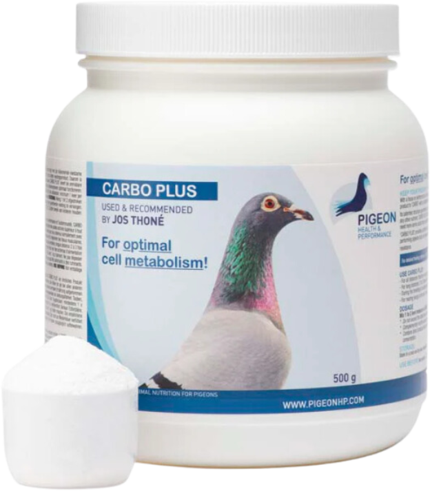 pigeon hp